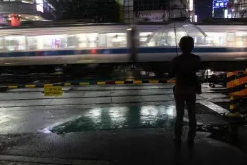 <p>Waiting to cross</p>