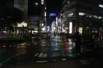<p>So much color and life, just like much of Tokyo</p>
