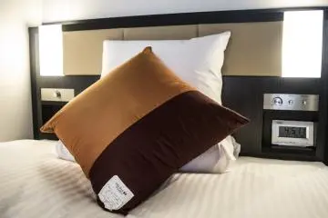 Each bed comes with feather pillows and a memory foam pillow. You can get more upon request from the reception.