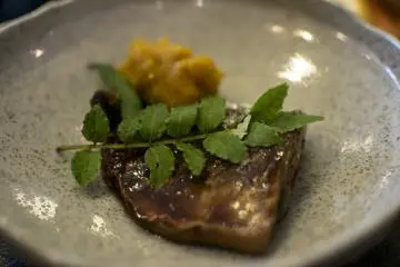 <p>Un vivaneau l&eacute;g&egrave;rement grill&eacute;, aux herbes et &agrave; la pur&eacute;e de potiron. Je ne pensais pas que le potiron se mariait si bien avec le poisson... et habituellent je n'ai pas le potiron.</p>