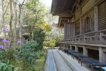 <p>บรรยากาศร่มรื่น</p>