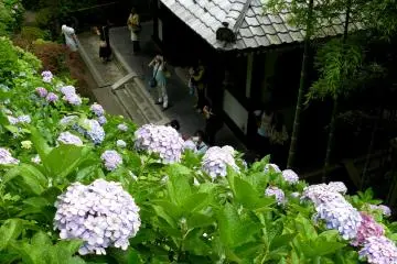 Photo: Olga Kaneda