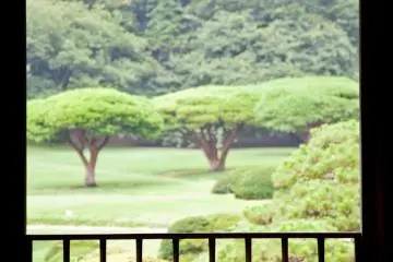 Looking out at the gardens from the Taiwanese pavilion