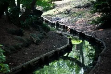 It is hard to believe this is in downtown Shinjuku