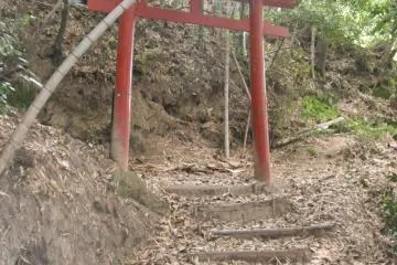 Trail through the woods