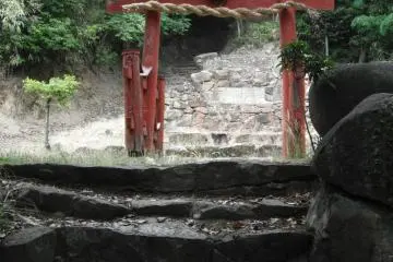 Still on the wood path