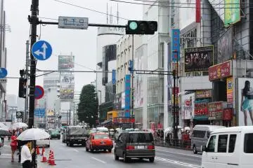 <p>The view of Meiji Dori &nbsp;</p>