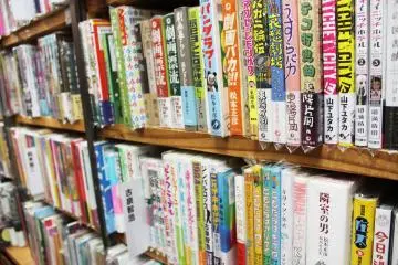 <p>Some of the comics look more like the manga you know and love in style &nbsp;</p>