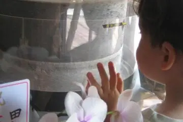 buckwheat grinder at entrance (Photo: S. C. Kurokawa)