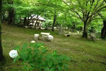 <p>Iwadera under the trees</p>