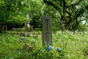 <p>Blue hydrangeas at the base of a stone marker</p>