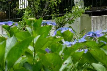 <p>A Kanon statue stands at the edge of the garden</p>
