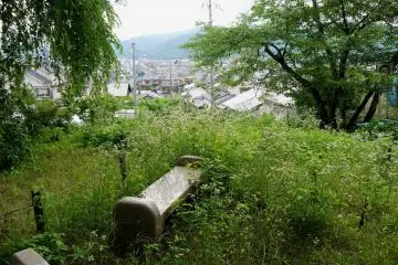 <p>You can rest on this bench in a corner of the garden</p>