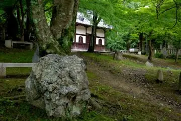 <p>The garden has a number of large rocks scattered around</p>