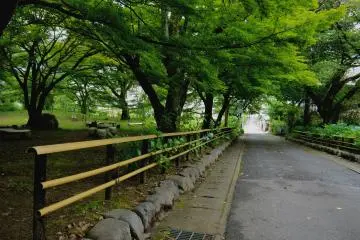 <p>A simple bamboo rail fence separates the garden from the road</p>