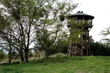 <p>A small wooden tower stands at the top of the path</p>