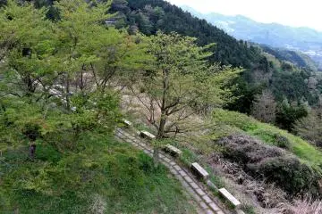 <p>The path below the tower</p>