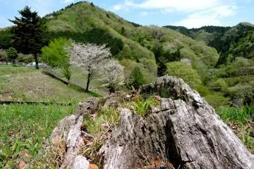 The surrounding hills look lovely in spring col