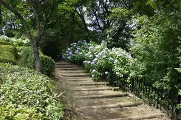 A beautiful place for a stroll