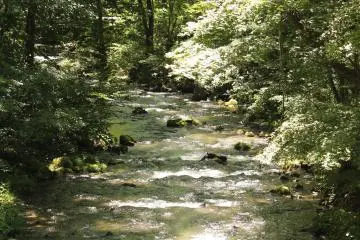 <p>A source of the local hot springs</p>