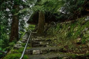 <p>Stairs to the tower where Buddha statues are stored</p>