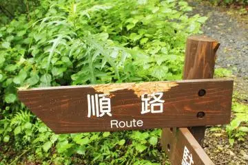 <p>It seems a bear has decided that he does not like this sign</p>