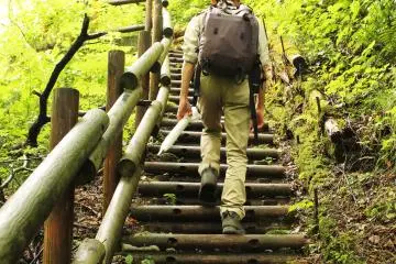 <p>The last hundred steps to the waterfall are up</p>