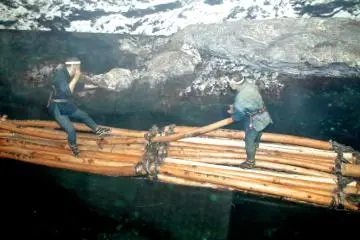 Exhibit showing lumber industry