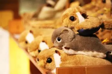<p>After the tour, you can buy a squirrel toy from the tourist centre shop</p>