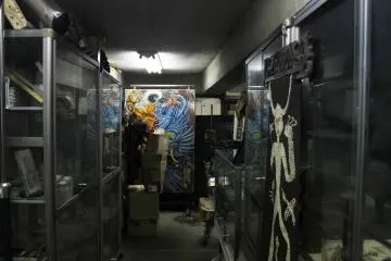 Gallery image