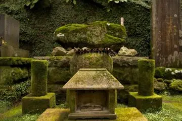 Mossy grave