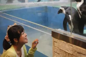 <p>One of the visitors plays with the penguin.&nbsp;</p>