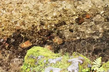 <p>The water is beautifully pure</p>