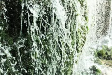 <p>The white threads of the waterfall</p>