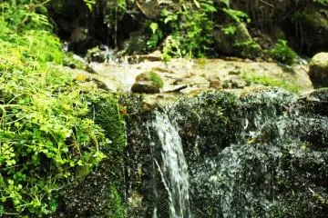 <p>The water pours out from within the ground, not its surface</p>