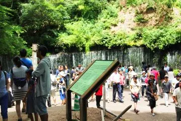 <p>It may be busy, but the waterfall is still visible and beautiful &nbsp;</p>