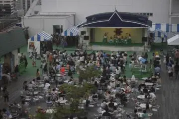 The view of the show.&nbsp;