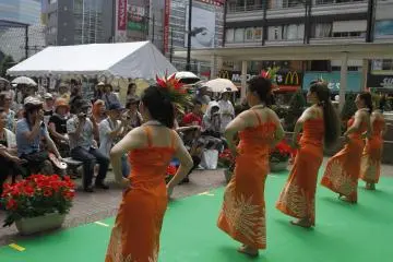 Dancers and the crowd&nbsp;