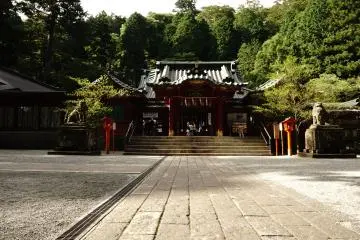 Gallery image