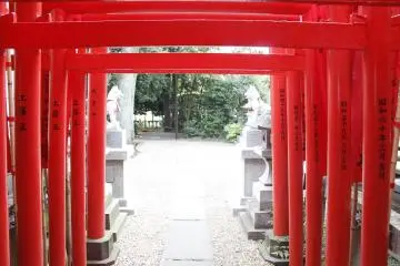 Gallery image