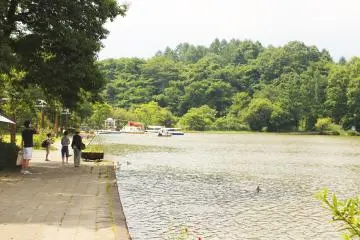 You can rent a boat or a skiff on the lake &nbsp;