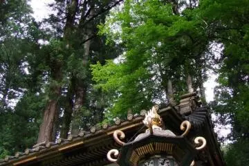 A beautiful final resting place for Iemitsu