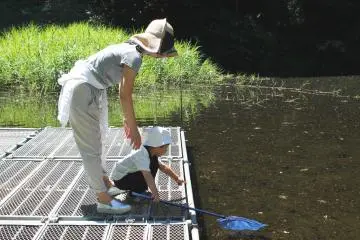 <p>Even the little ones can get involved</p>