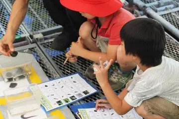 <p>We check off the bugs we managed to find</p>