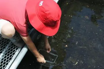 <p>We gently release the bugs back into their home</p>