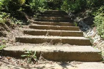 <p>There's many steps in the park to be explored.</p>
