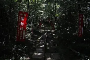 <p>The quiet, dark path towards the shrine.</p>