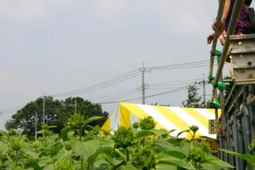 <p>Tempat untuk melihat bunga-bunga</p>