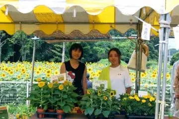 <p>Penjual di festival&nbsp;</p>