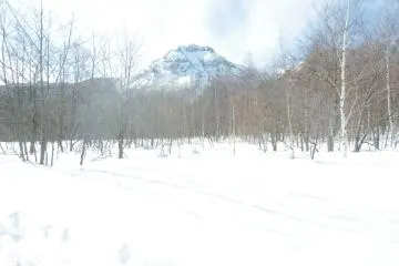 A silent trek (Photo: <a href="http://hirayunomori.co.jp/contents/english/" target="_blank" rel="noreferrer noopener nofollow">Hirayu no Mori</a>)